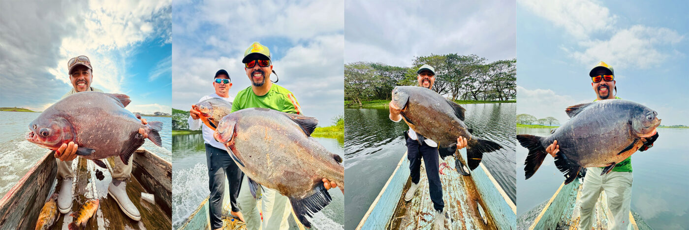 Señuelos canbra ecuador