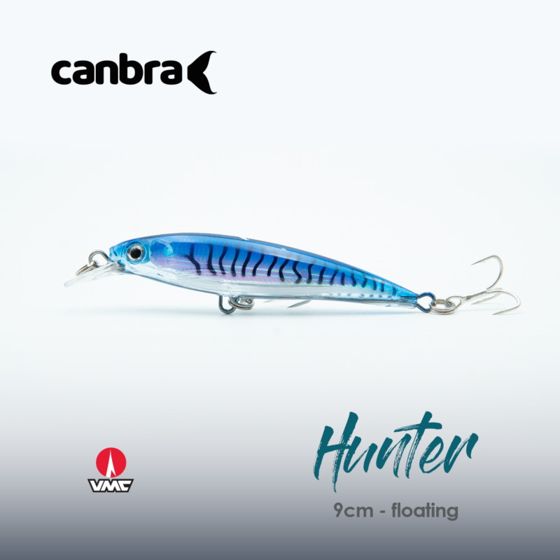 Minnow Hunter blue