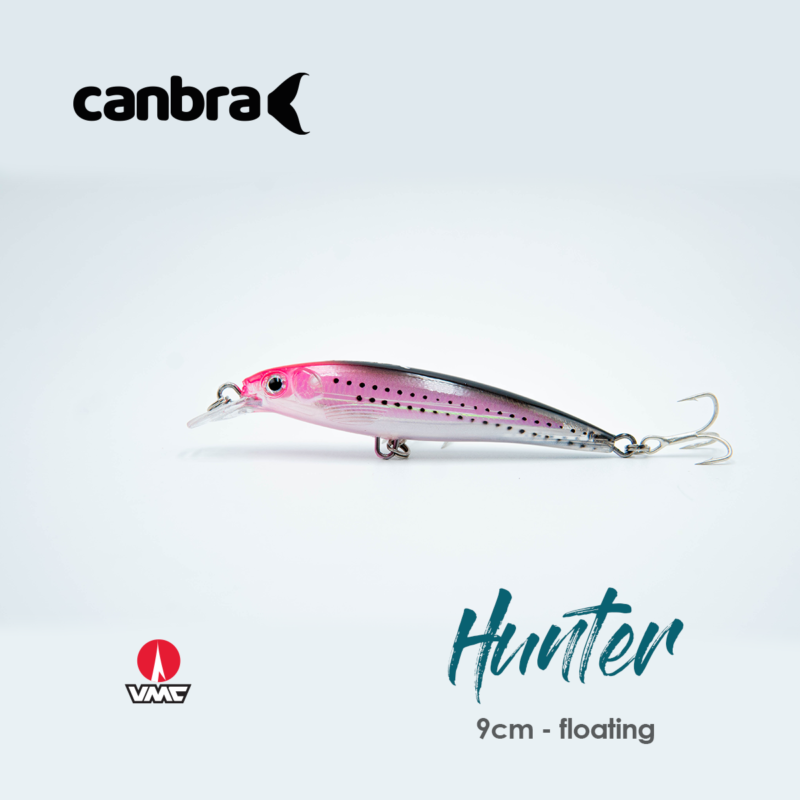 Minnow Hunter Silver Rose