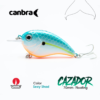 señuelo canbra cazador